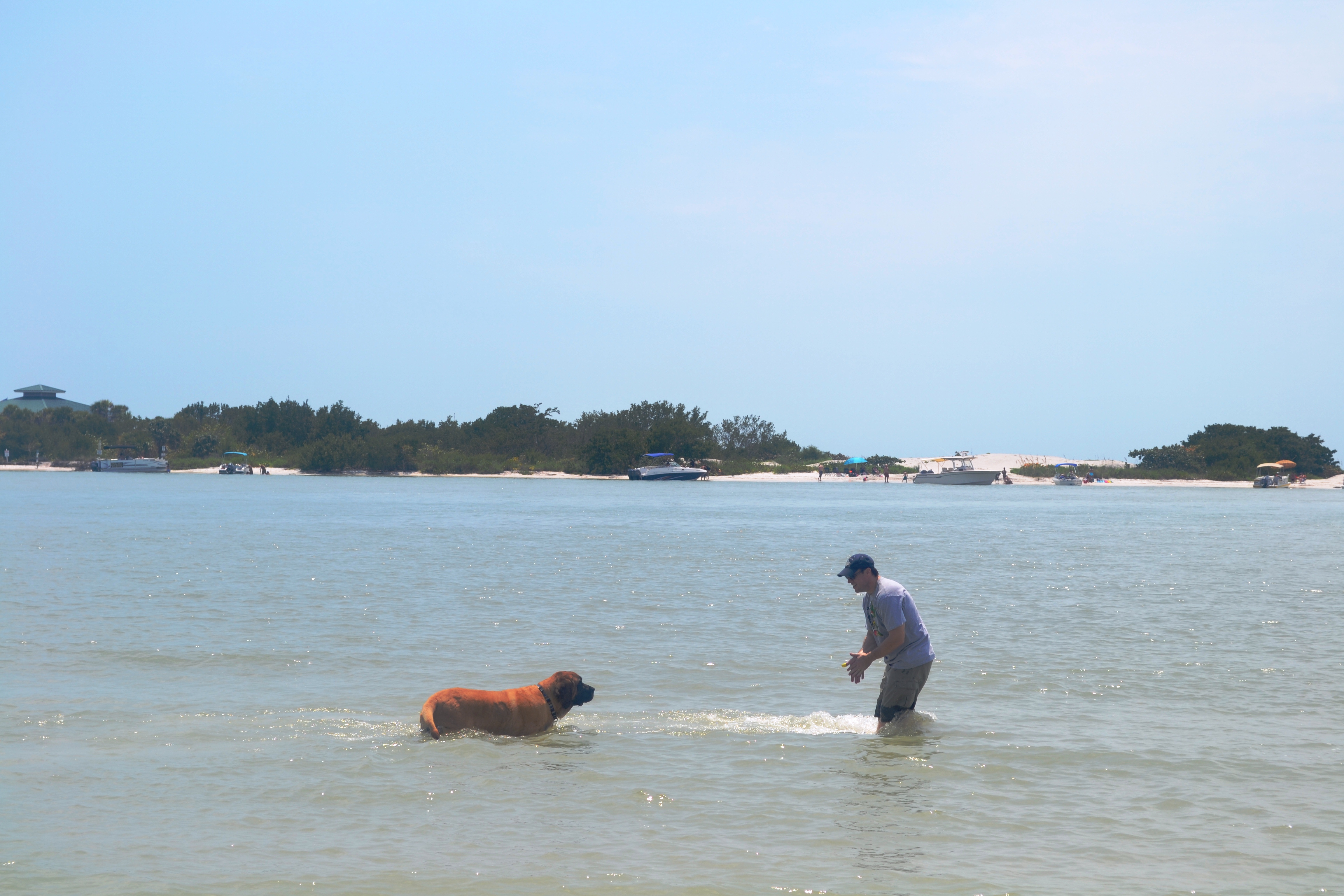 Buddy swim