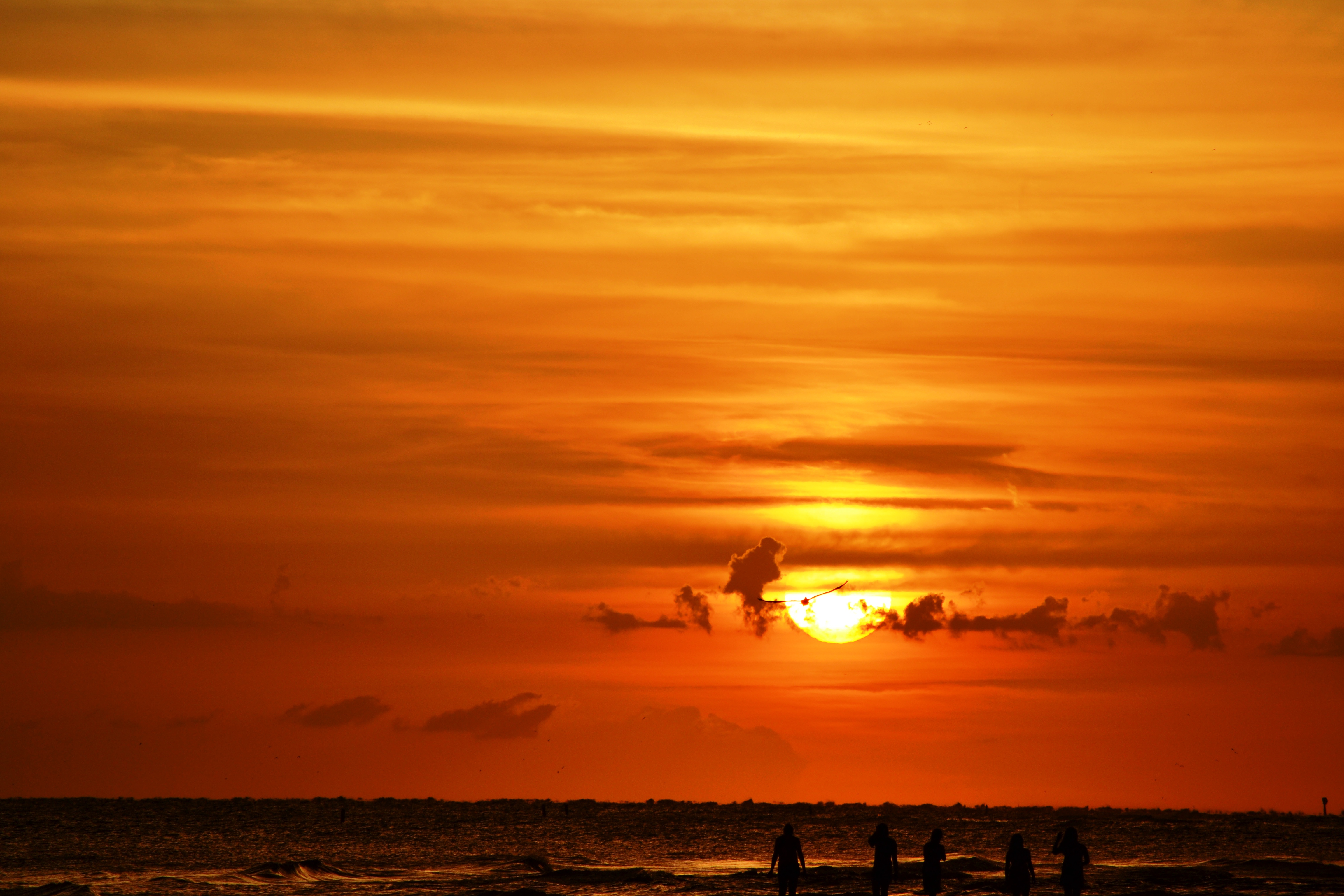 Pelican and sun setting