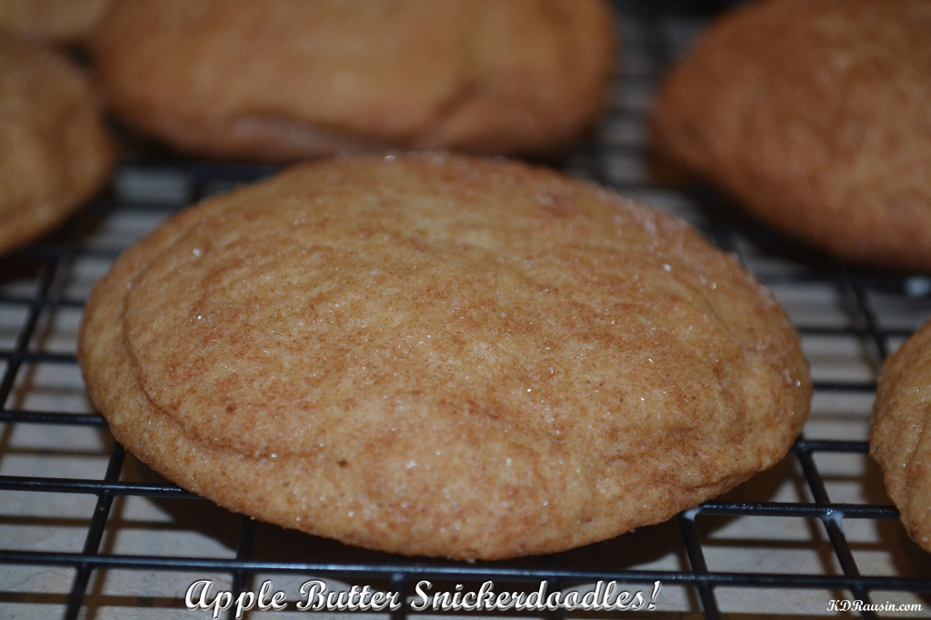 snickerdoodles 018